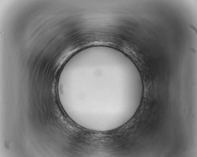 X0000100490098200806130804