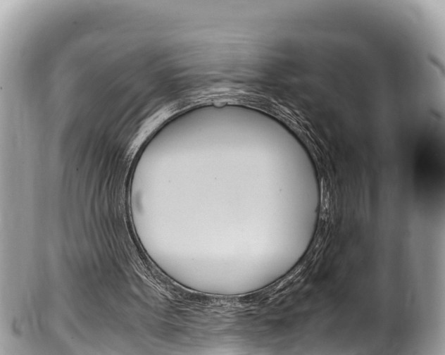 X0000100490099200806130804