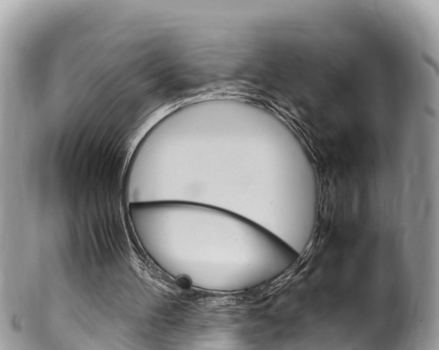 X0000100490100200806130804