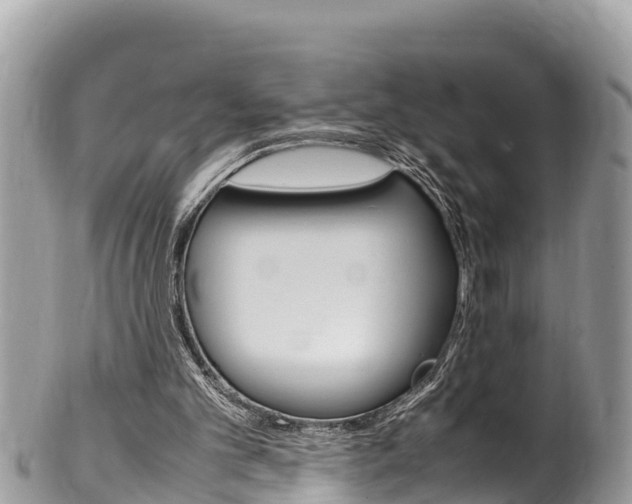 X0000100490101200806130804