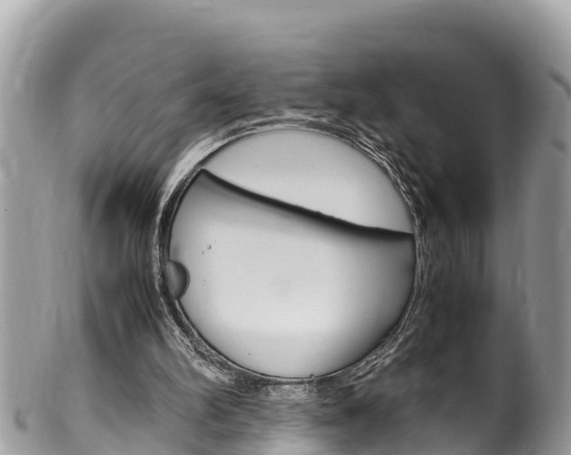 X0000100490102200806130804