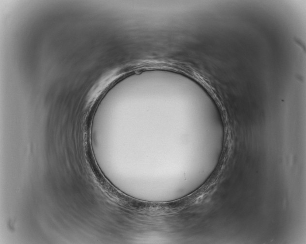 X0000100490103200806130804