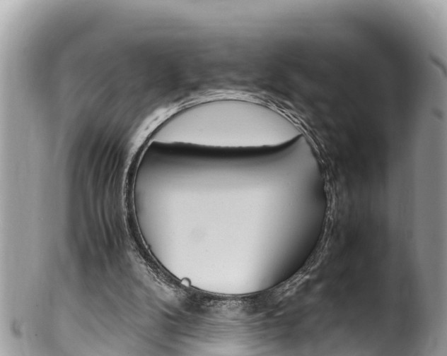 X0000100490104200806130804