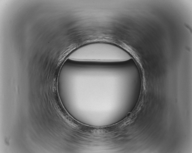 X0000100490105200806130804