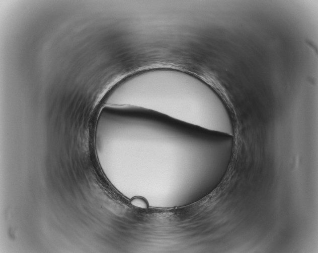 X0000100490108200806130804