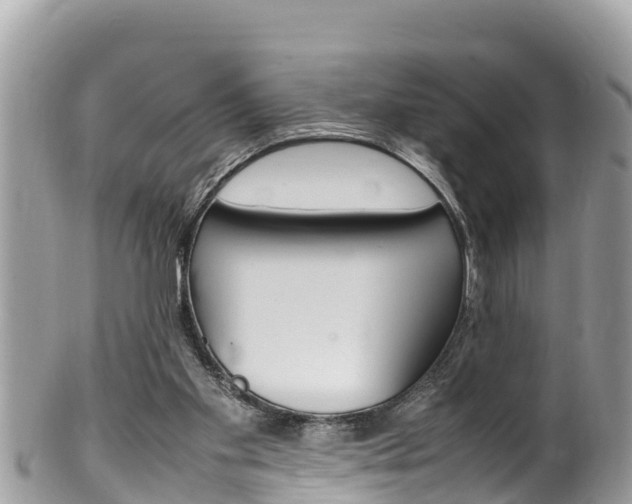 X0000100490109200806130804