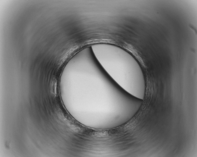 X0000100490110200806130804