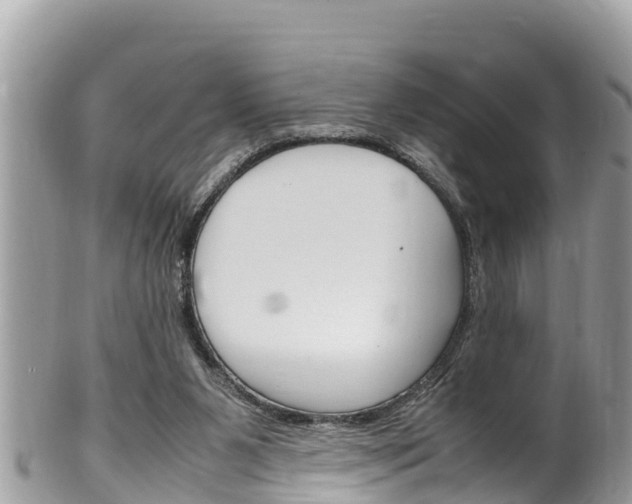 X0000100490111200806130804