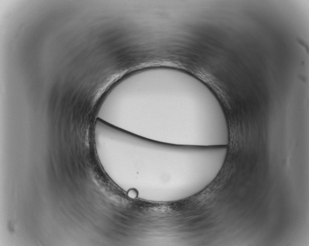 X0000100490112200806130804