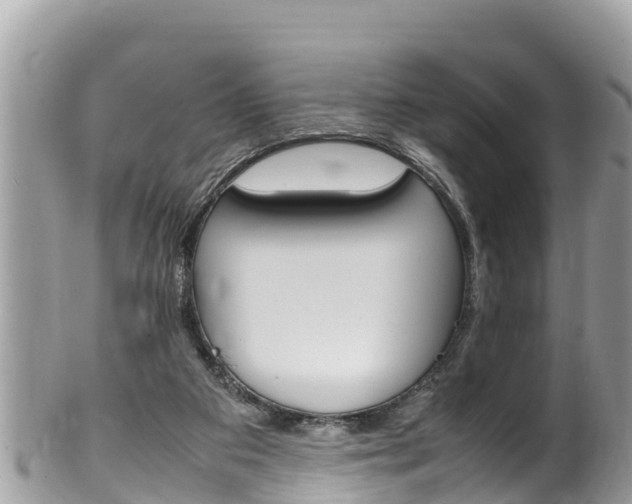 X0000100490113200806130804