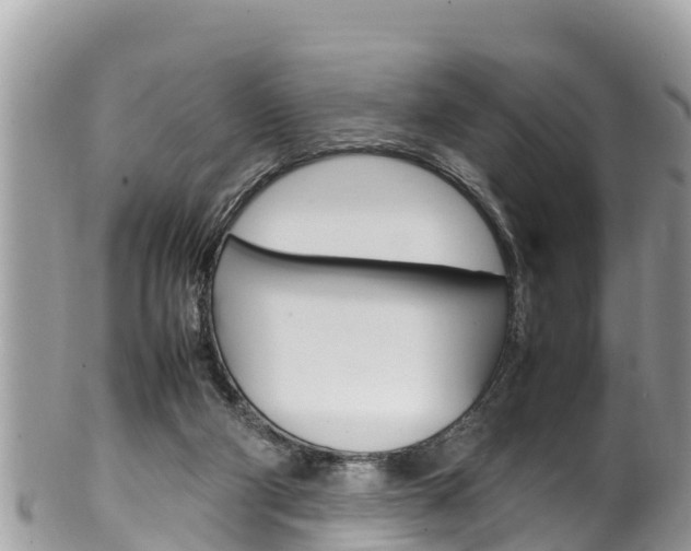 X0000100490114200806130804