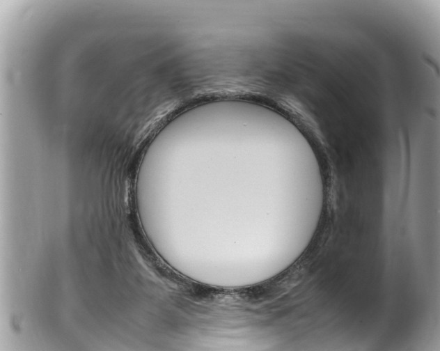 X0000100490115200806130804