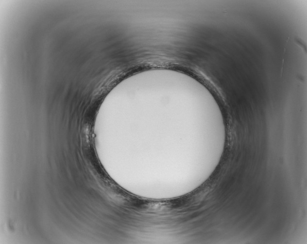 X0000100490117200806130804