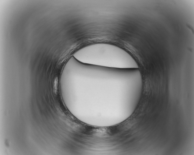 X0000100490118200806130804