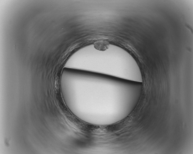 X0000100490119200806130804