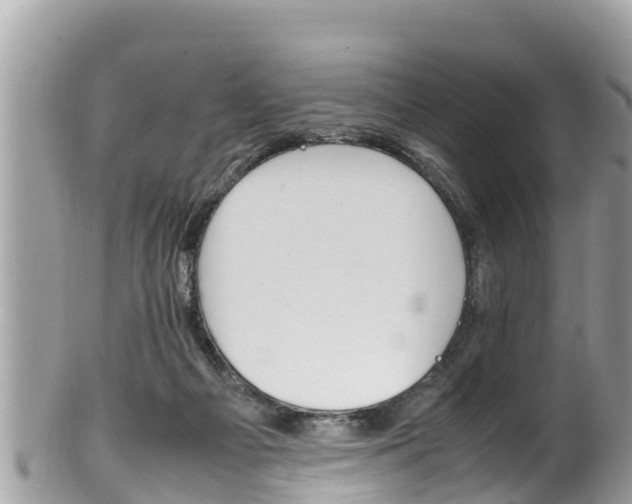 X0000100490121200806130804