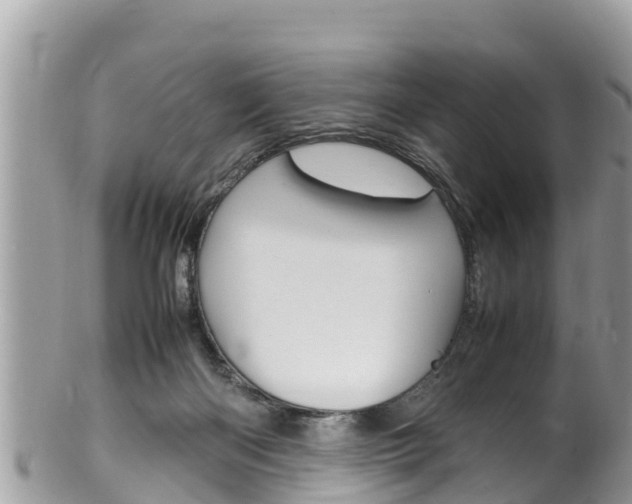X0000100490122200806130804