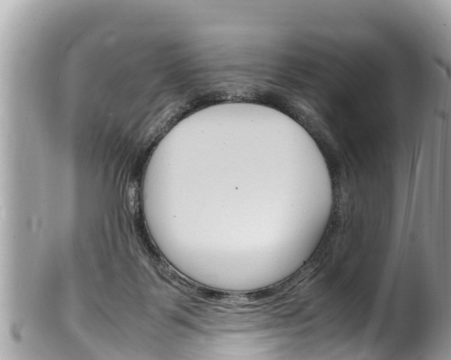 X0000100490123200806130804