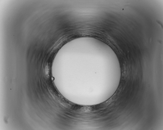 X0000100490124200806130804