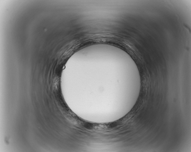 X0000100490125200806130804