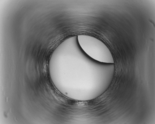 X0000100490126200806130804