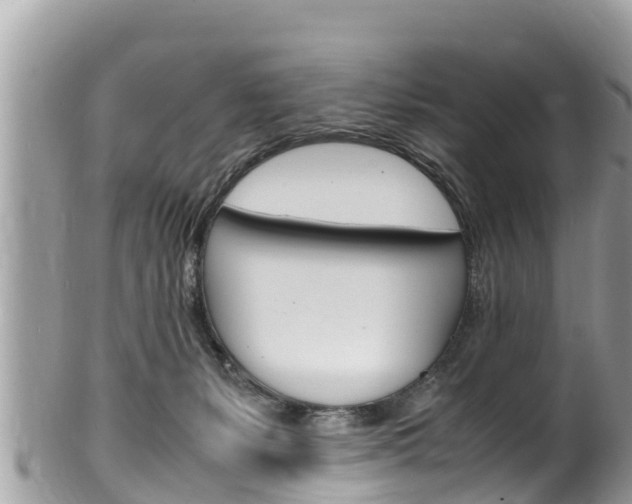 X0000100490127200806130804