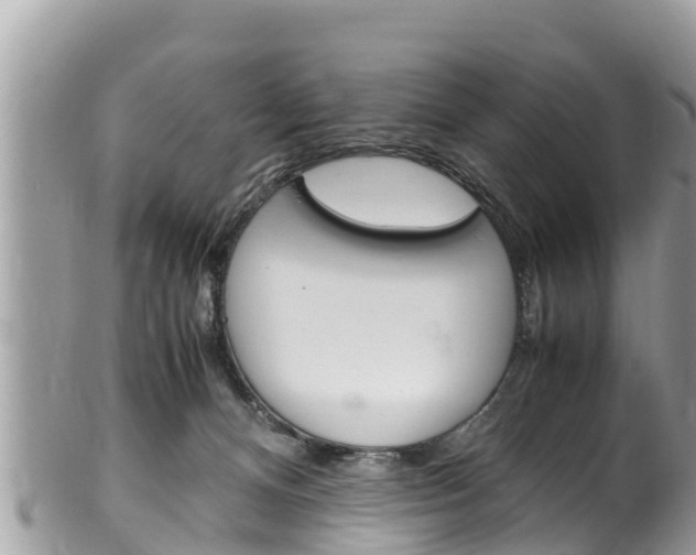 X0000100490128200806130804