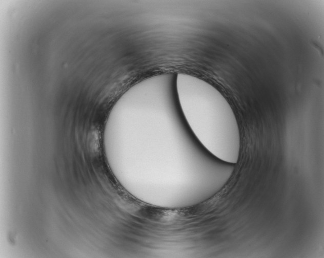 X0000100490130200806130804
