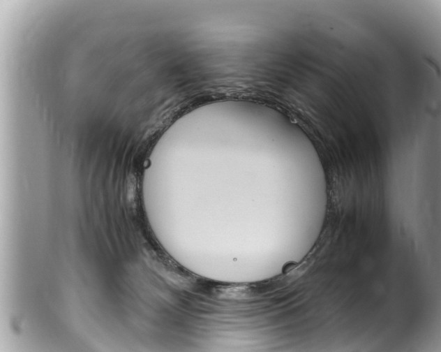 X0000100490132200806130804