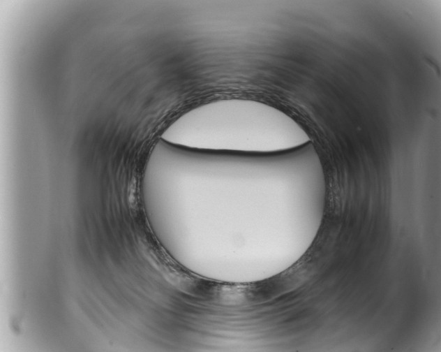 X0000100490134200806130804