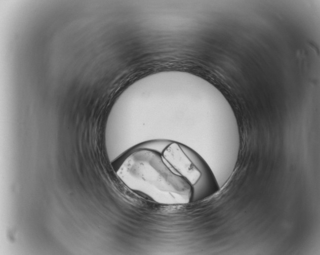 X0000100490136200806130804
