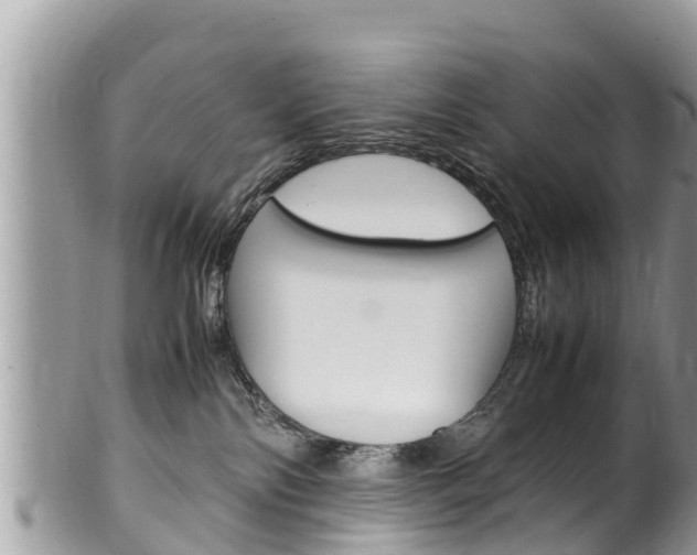 X0000100490138200806130804