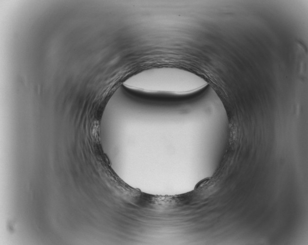 X0000100490141200806130804