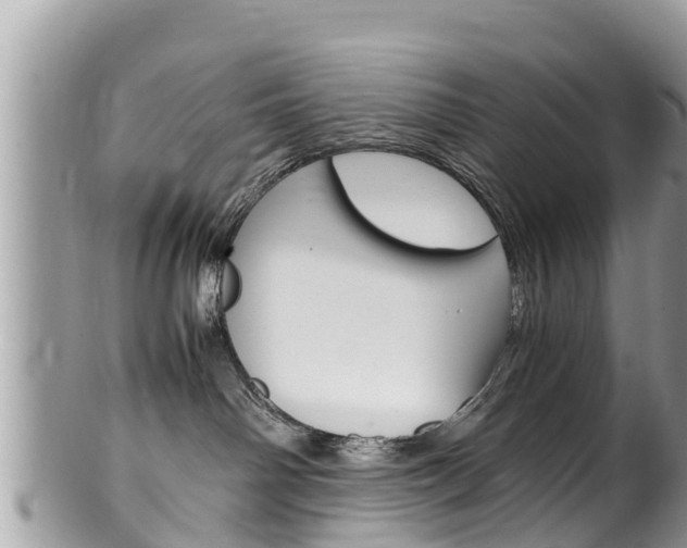 X0000100490142200806130804