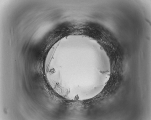 X0000100490146200806130803