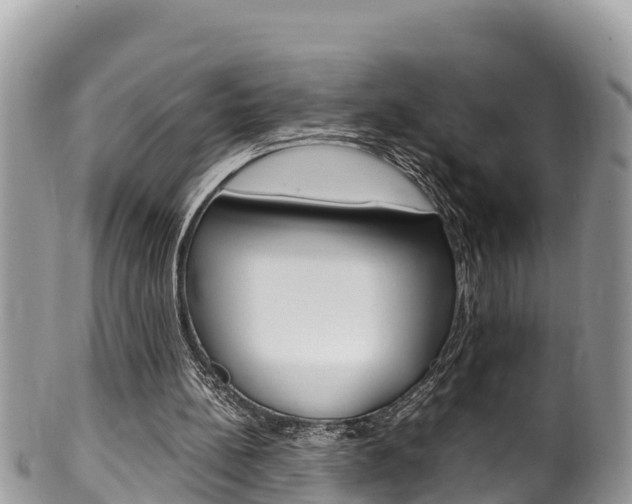 X0000100490148200806130803