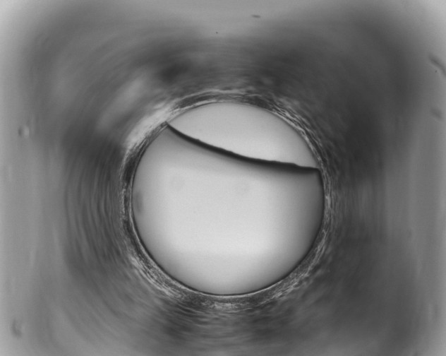 X0000100490149200806130803