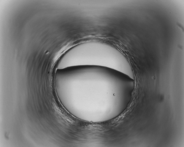 X0000100490150200806130803