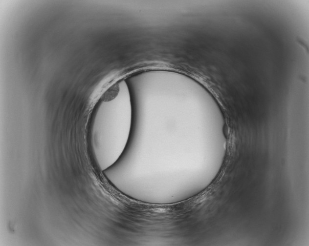 X0000100490151200806130803