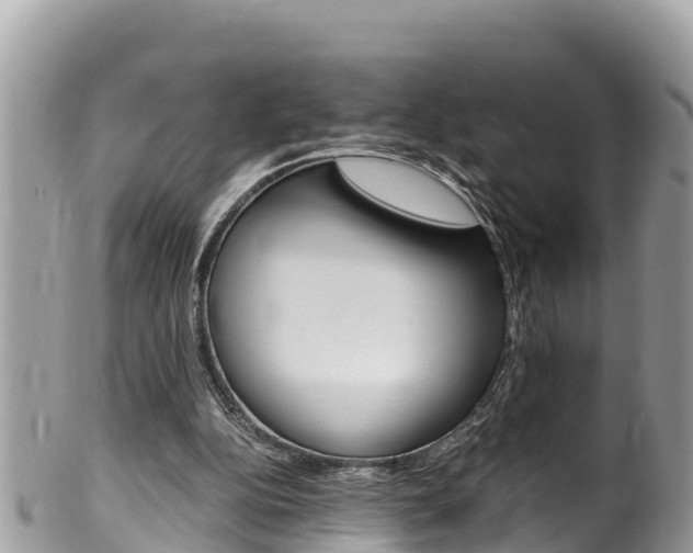 X0000100490152200806130803