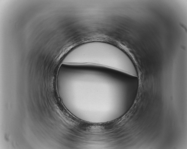 X0000100490154200806130803