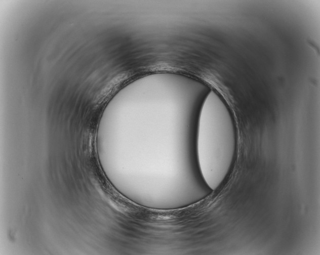 X0000100490157200806130803