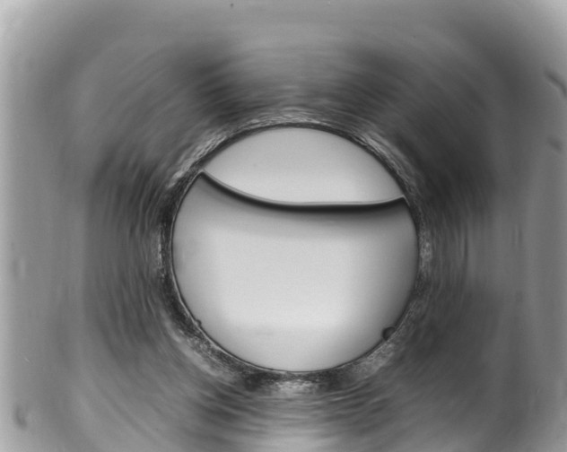 X0000100490158200806130803