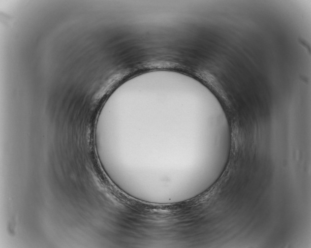 X0000100490159200806130803