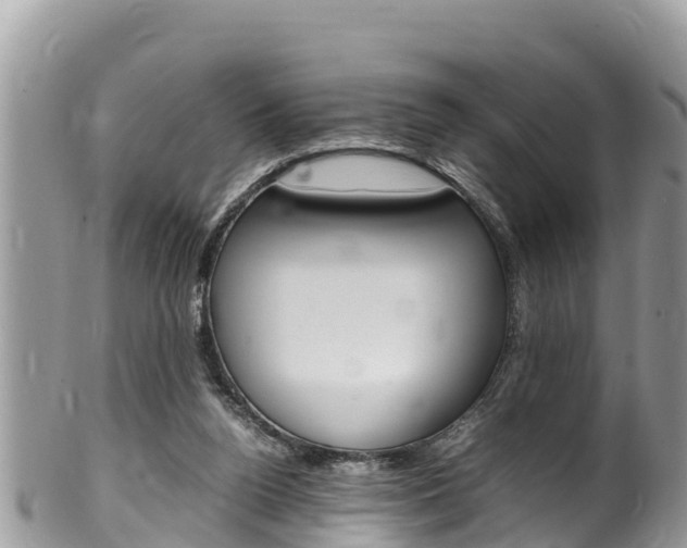 X0000100490160200806130803