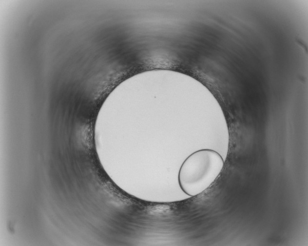 X0000100490162200806130803