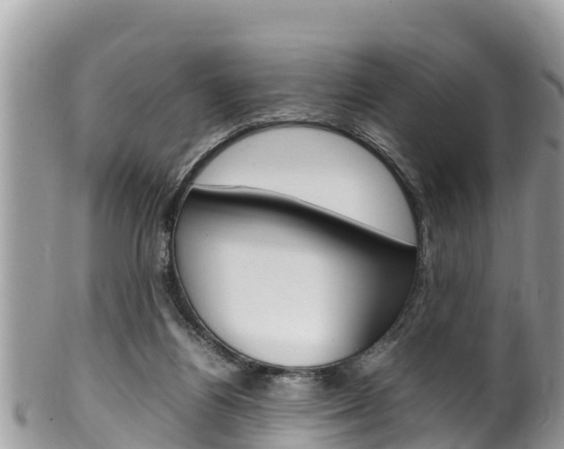 X0000100490164200806130803