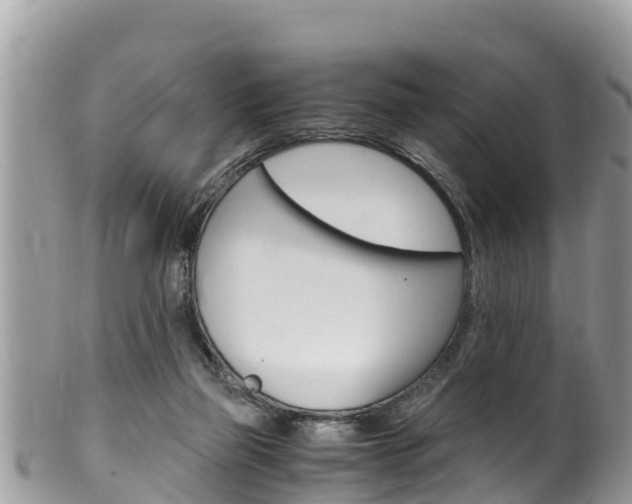 X0000100490165200806130803