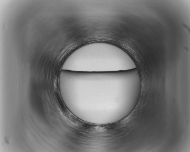 X0000100490166200806130803