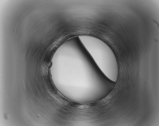X0000100490168200806130803